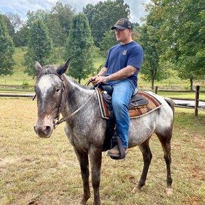 Meet your Posher, Tj